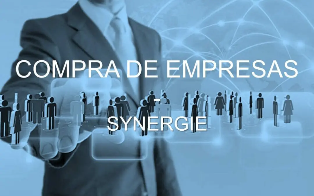 SYNERGIE BUYS SPANISH COMPANY TIGLOO