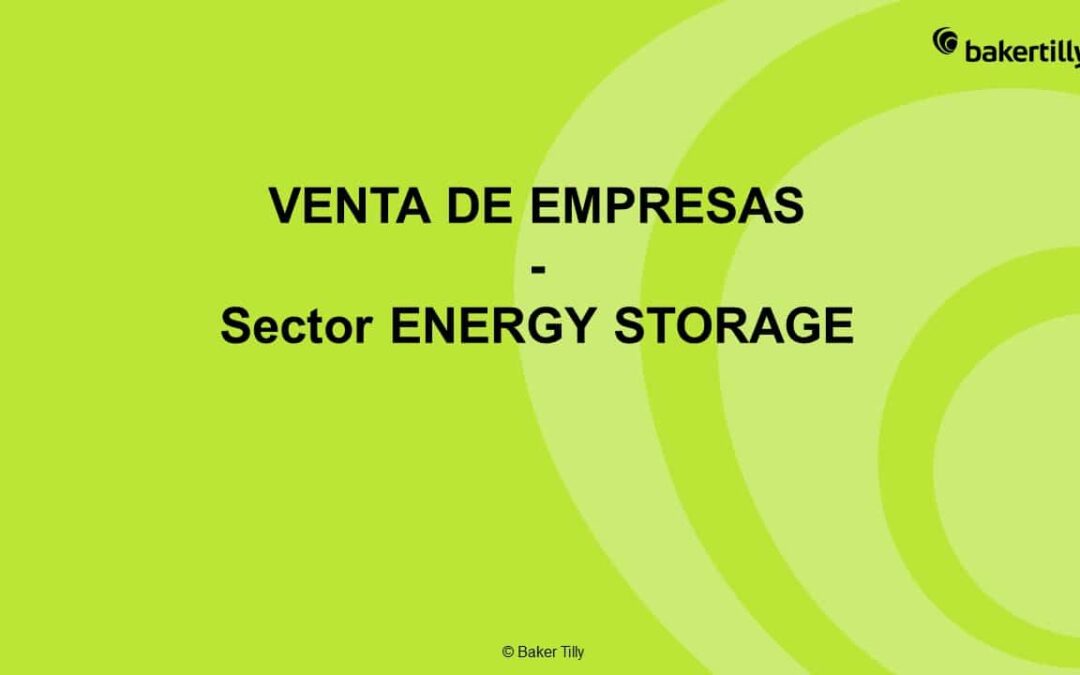 Energy Storage: un sector innovador que está en pleno crecimiento