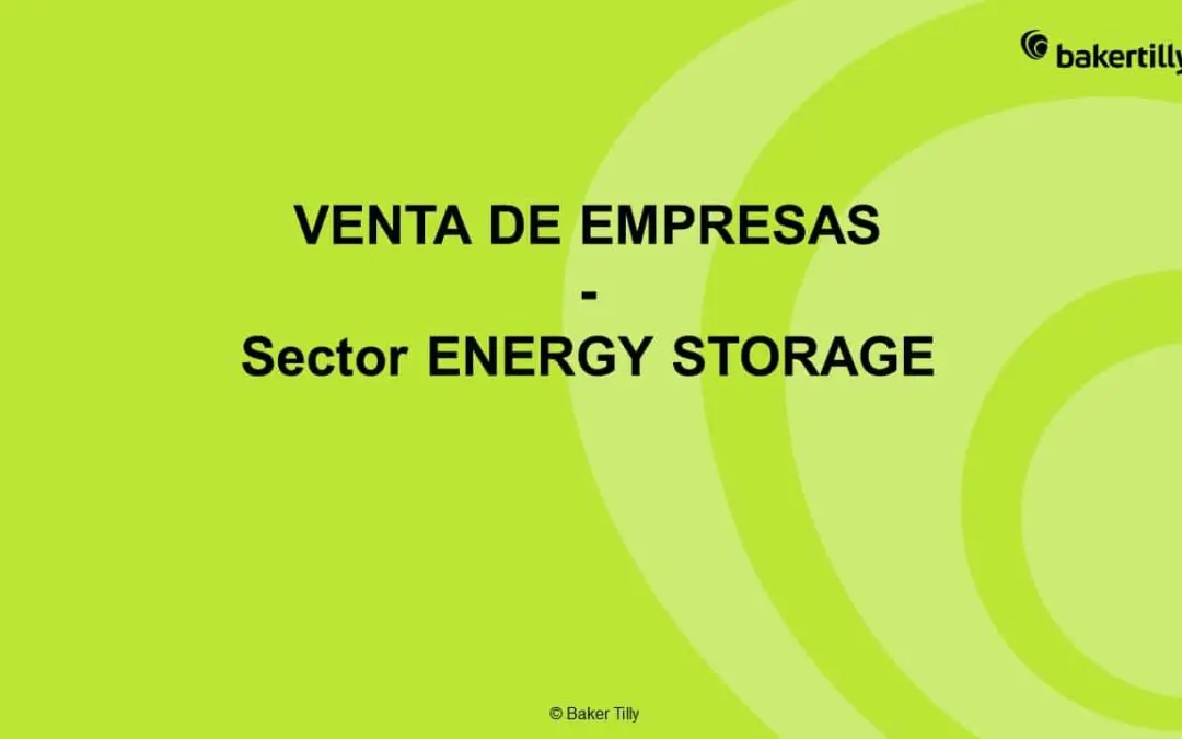 Energy Storage: an innovative and growing sector