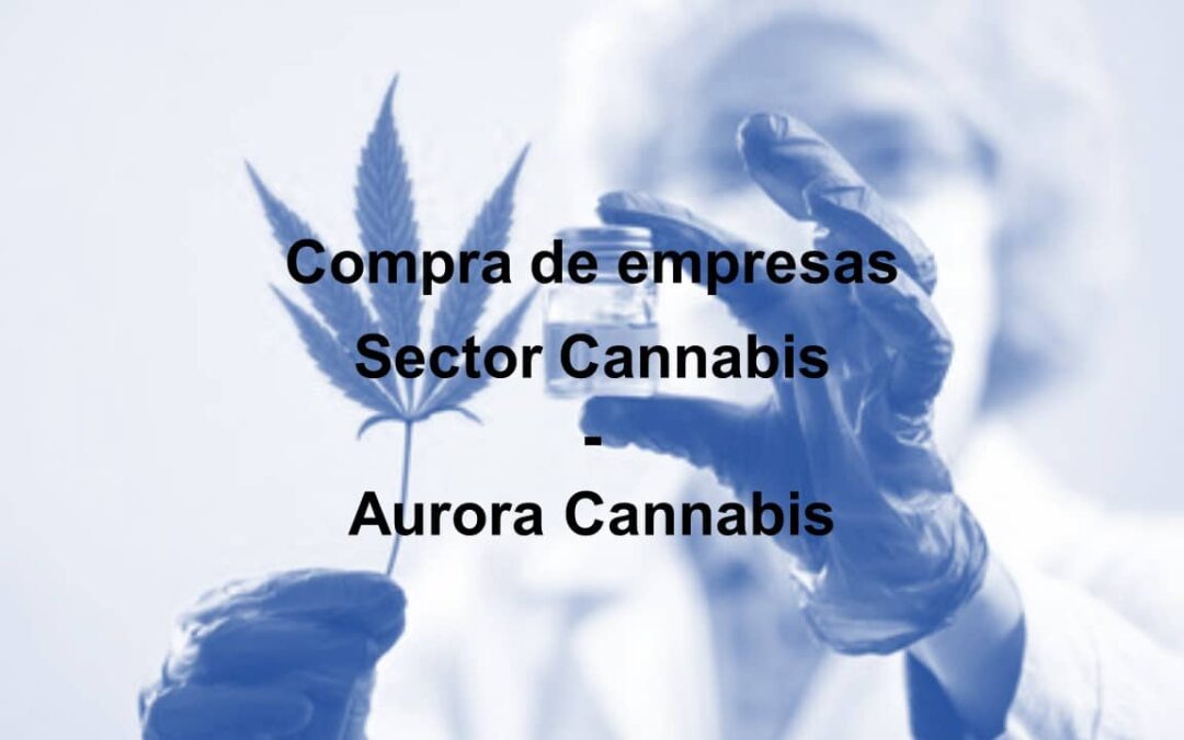 Sector del Cannabis: Aurora Cannabis, la empresa líder en el sector