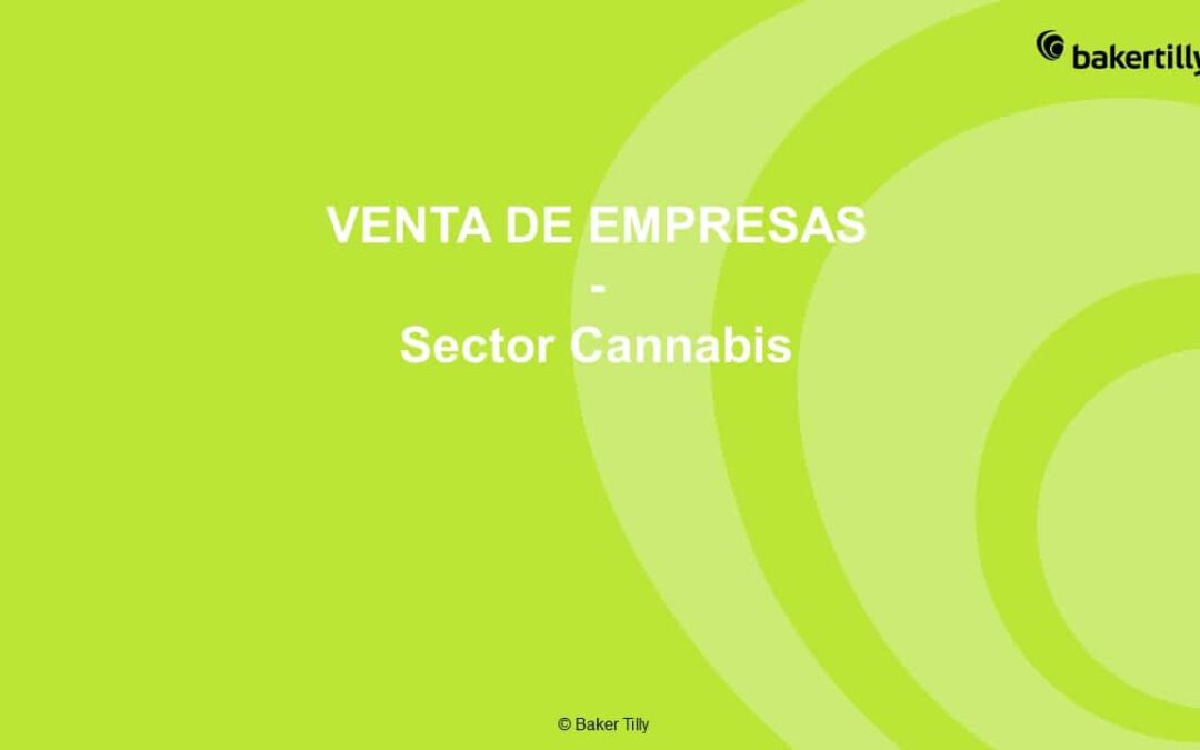 Tendencias de financiación del sector Cannabis por Área Geográfica