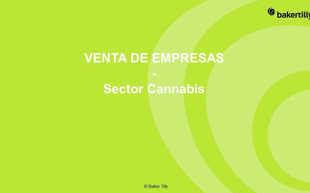 Cannabis Sector Funding Trends by Geographic Area