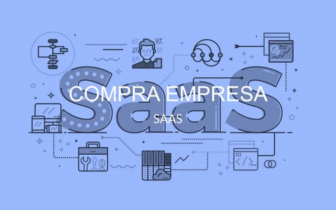 SAAS: LEADING COMPANIES IN THE SECTOR