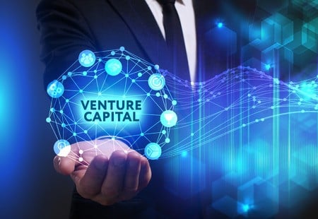 What is a Venture Capital?