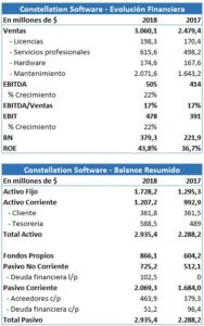 ¿A qué se dedica Constellation Software y cómo está valorada?