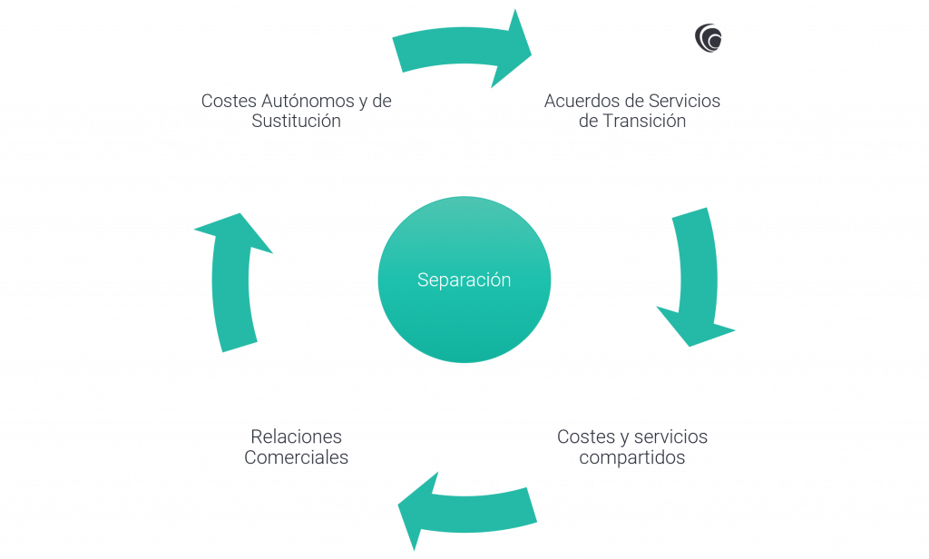 Understanding-Carve-Out-Transactions